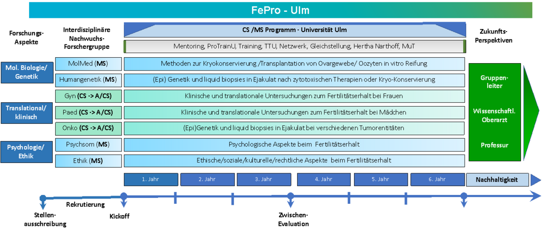 Projektstruktur FePro-Ulm