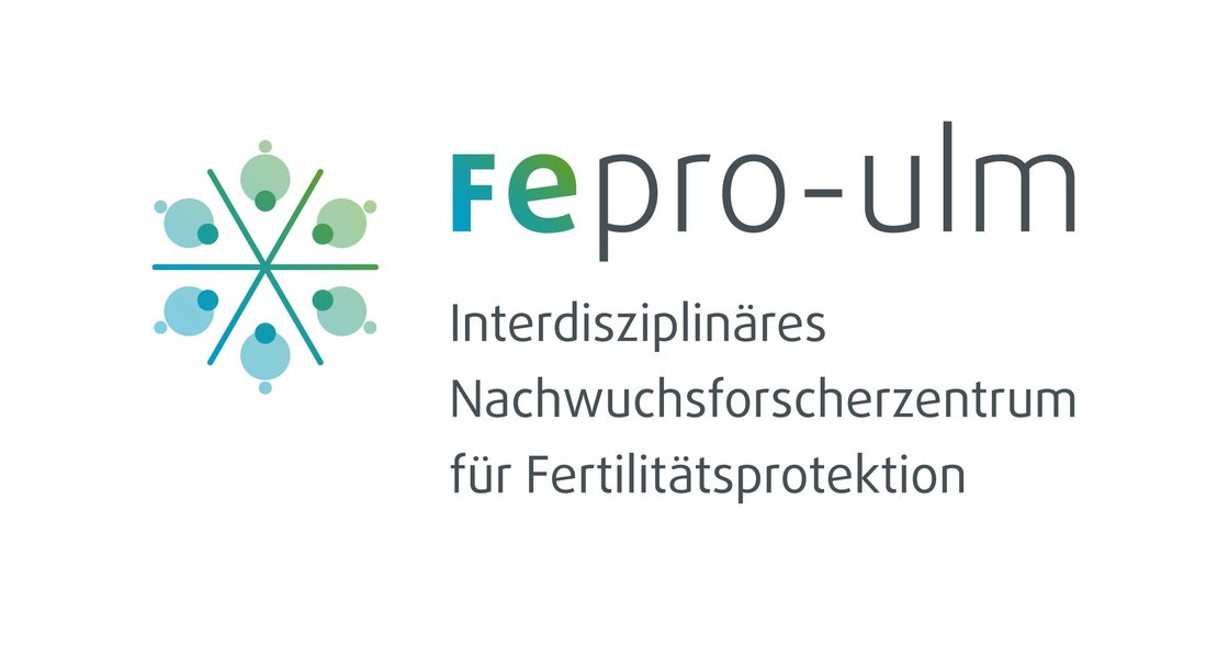 Logo Fepro-ulm
