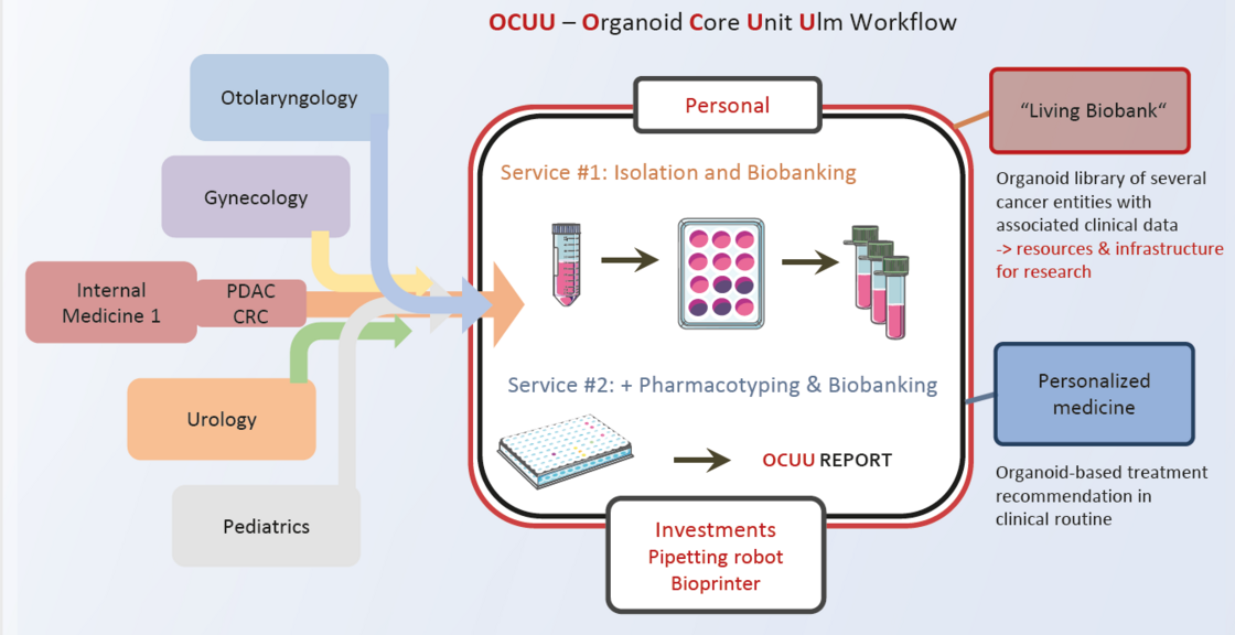 Workflow Core Facility Organoids