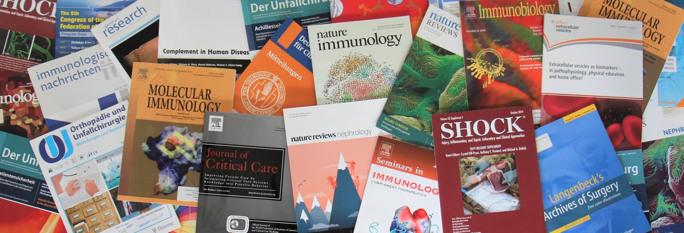 Image of ITI publications