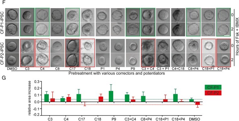 Figures from Hohwieler et al. 2017, GUT