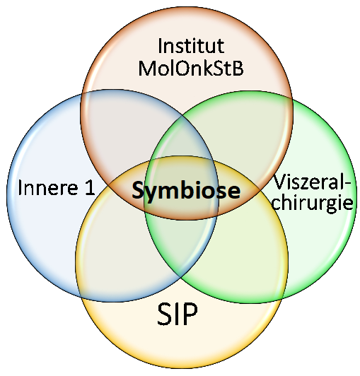 grafische Darstellung der Symbiose von Innere Medizin 1, SIP, IMOS und Viszeralchirurgie