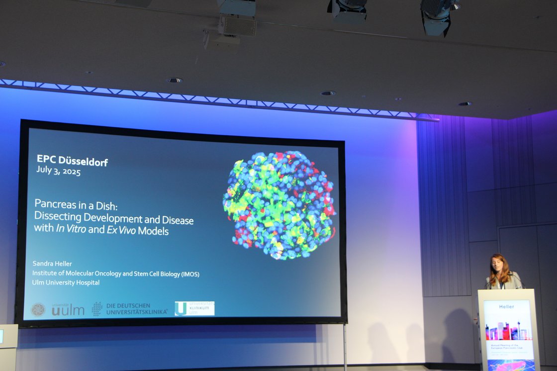 Presentation of Sandra Heller