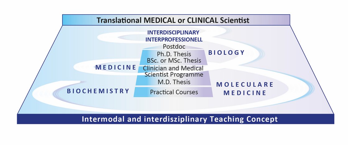 Graphical Illustration of our Teaching Concept at IMOS