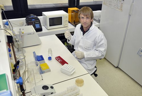 Dr. Bernhard Schmidt an seinem Arbeitsplatz (Foto: UK Ulm).