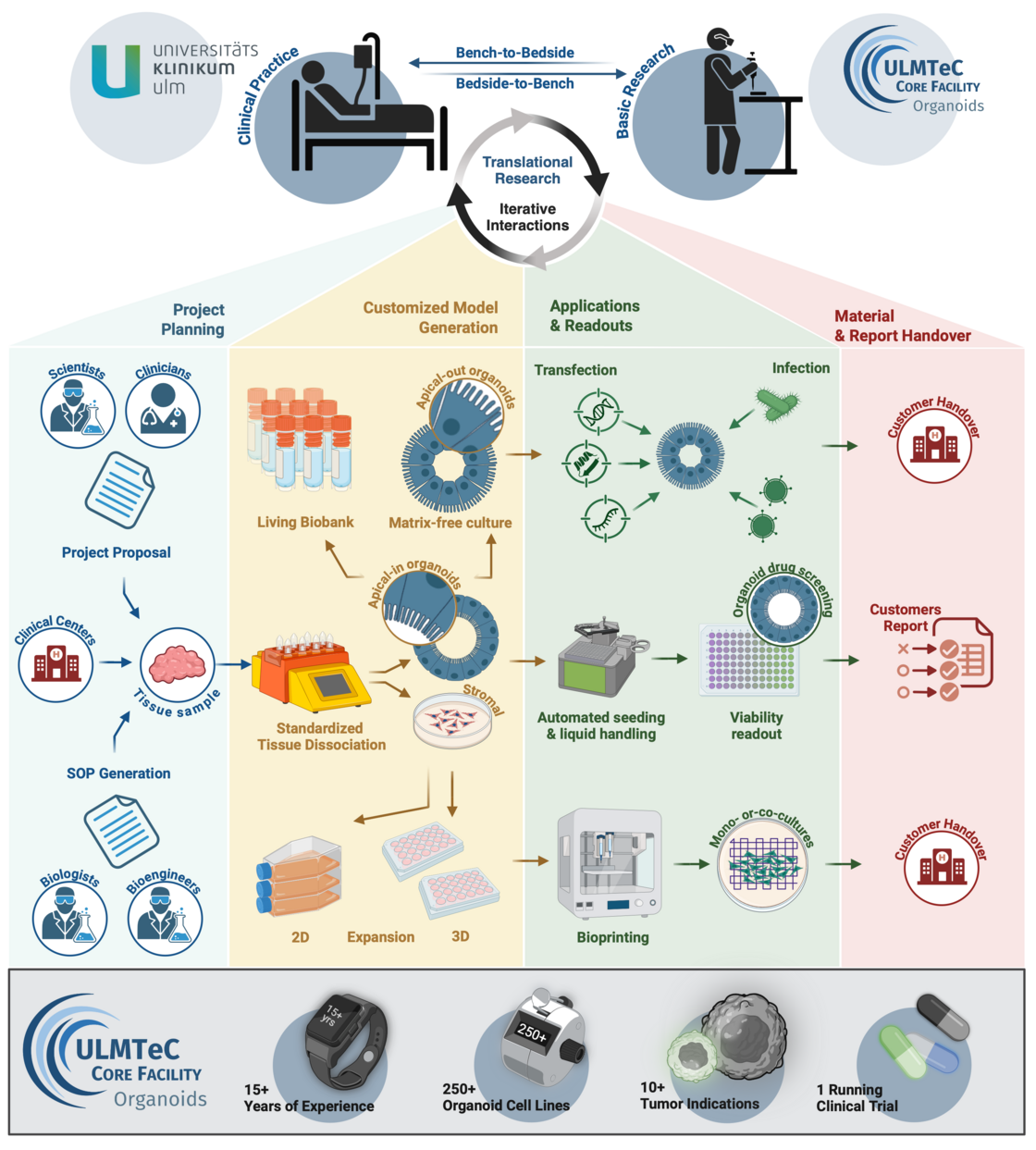 CFO overview diagram of tasks, services and outcomes of the core