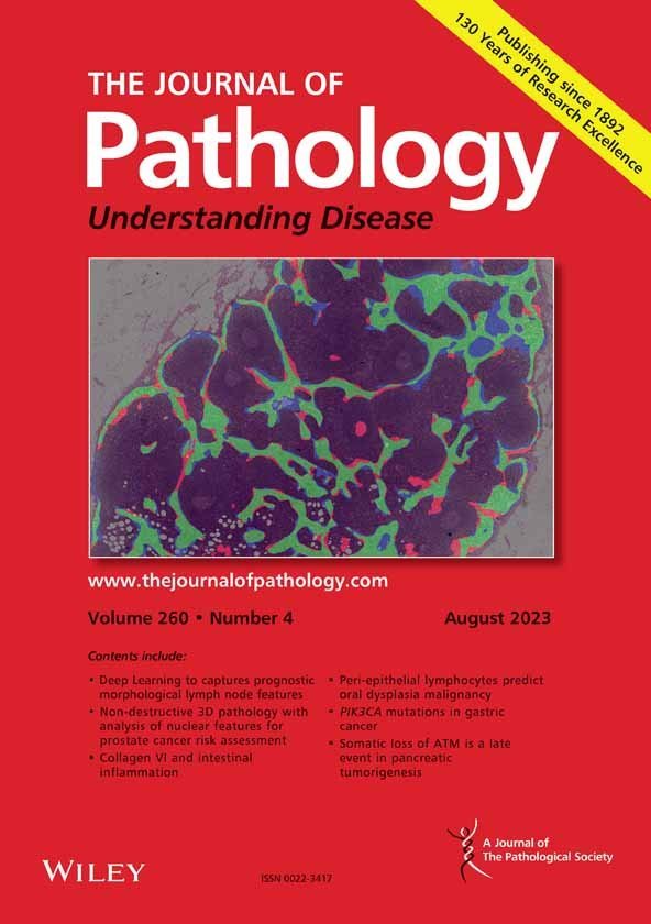 Cover Journal of Pathology August 2023