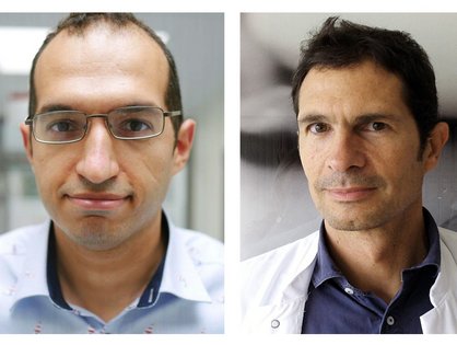 Dr. Mohamed Elsayed und Prof. Dr. Carlos Schönfeldt-Lecuona der Klinik für Psychiatrie und Psychotherapie III des Universitätsklinikums Ulm