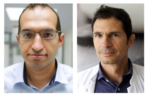 Dr. Mohamed Elsayed und Prof. Dr. Carlos Schönfeldt-Lecuona der Klinik für Psychiatrie und Psychotherapie III des Universitätsklinikums Ulm