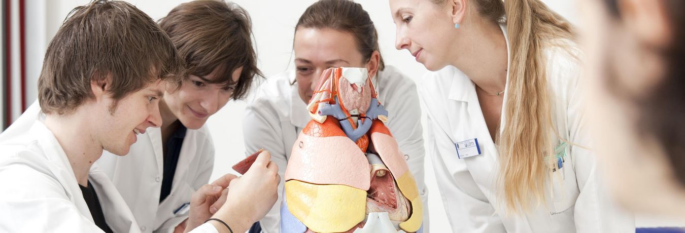 Medizin-Studentinnen und -Studenten betrachten eine Nachbildung des menschlichen Körpers