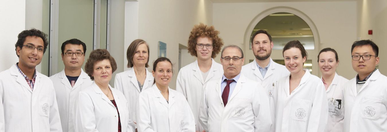 Forschungsgruppe Prof. Günes - Urologie Ulm