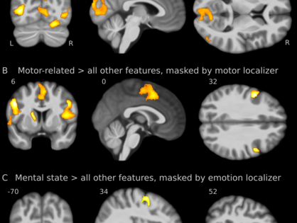 Die Abbildung zeigt Aktivitätsmuster für Begriffseigenschaften, die einen Bezug haben zu visuellen und motorischen Merkmalen sowie zu mentalen Zuständen.