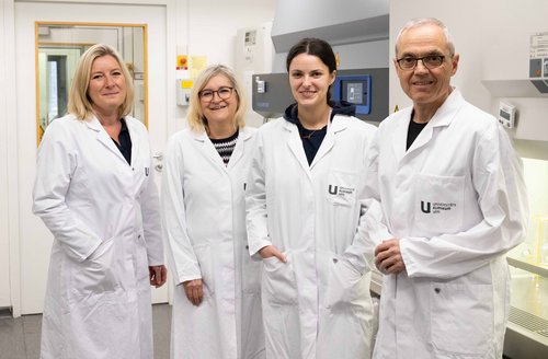 Prof. Dr. Christian Sinzger (r.) und sein Team (v.l.) Kerstin Laib Sampaio, Dagmar Stöhr und Nina Weiler. 