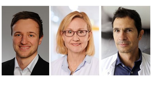 Collage der Portraitfotos von Moritz Seibert, Doktorand an der Universität Ulm, Prof. Christine von Arnim, Seniorautorin und Direktorin der Abteilung für Geriatrie der Universitätsmedizin Göttingen und Prof. Carlos Schönfeldt-Lecuona, Mitautor und Oberarzt an der Klinik für Psychiatrie und Psychotherapie III am UKU.