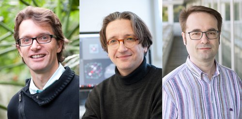 Der Biologe Prof. Steven Jansen sowie die Physiker Prof. Fedor Jelezko und Prof. Martin Plenio von der Fakultät für Naturwissenschaften der Uni Ulm zählen zu den meistzitierten Wissenschaftlern weltweit