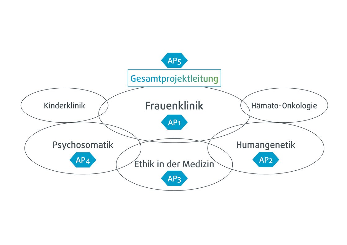 Abbildung zur Gesamtprojektleitung FePro-Ulm