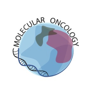 Quelle: Universitätsklinikum Ulm Logo Molecular Oncology