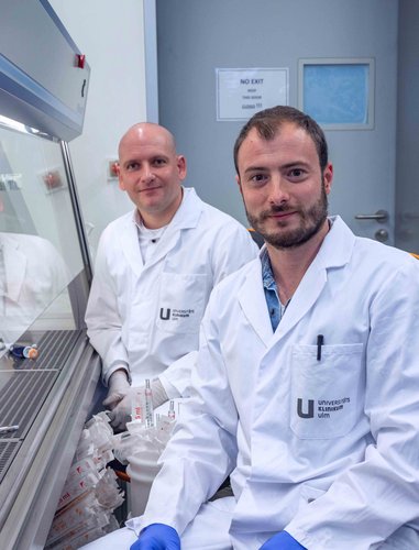 Jun. Prof. Konstantin Sparrer, links, und Maximilian Hirschenberger im Labor. 