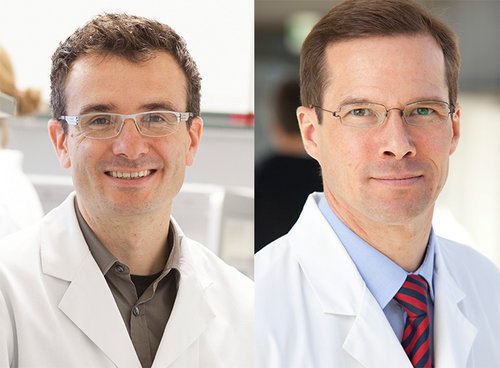 PD Dr. Daniel Mertens und Prof. Dr. Stephan Stilgenbauer (v.l.) (Foto: Universitätsklinikum Ulm)