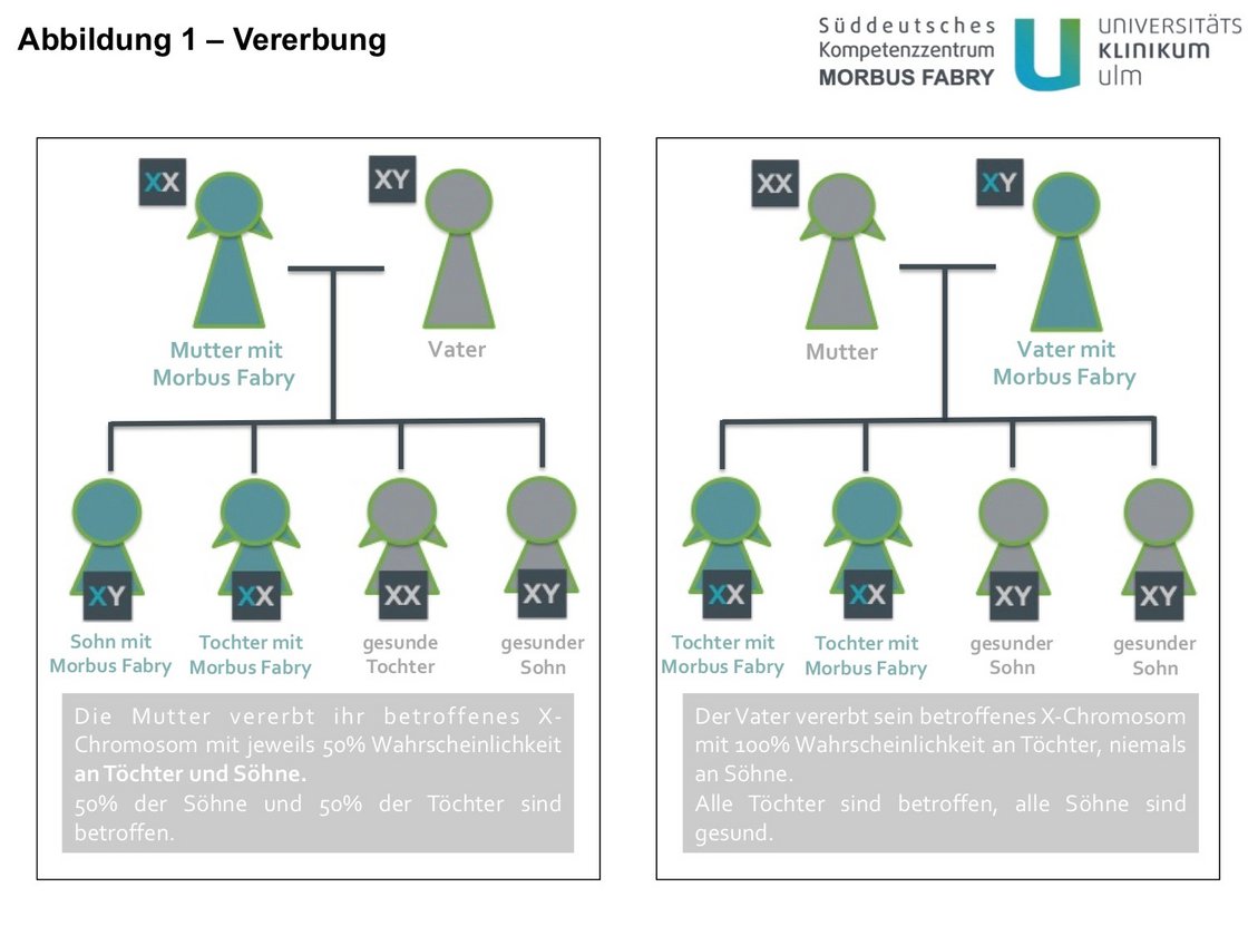 Darstellung Vererbung Morbus Fabry