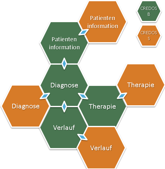 Wabendarstellung von CREDOS - Tumorbasisdokumentation, Diagnose, Verlauf, Therapie