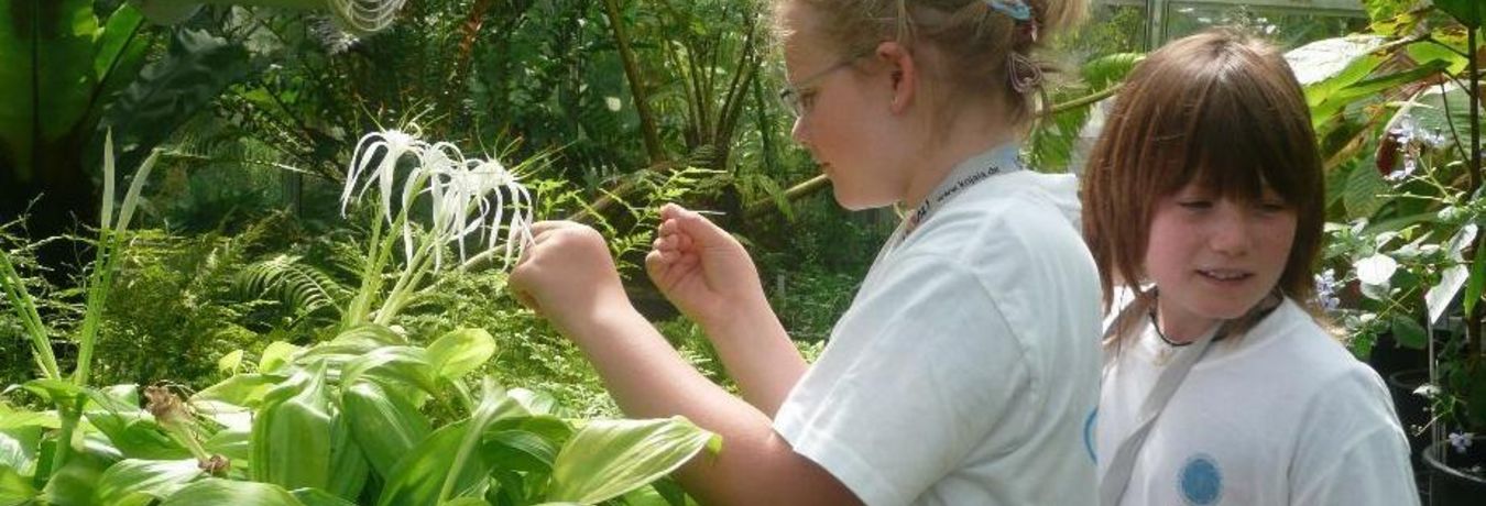 Kinder beim Forschen im Sommer Science Camps