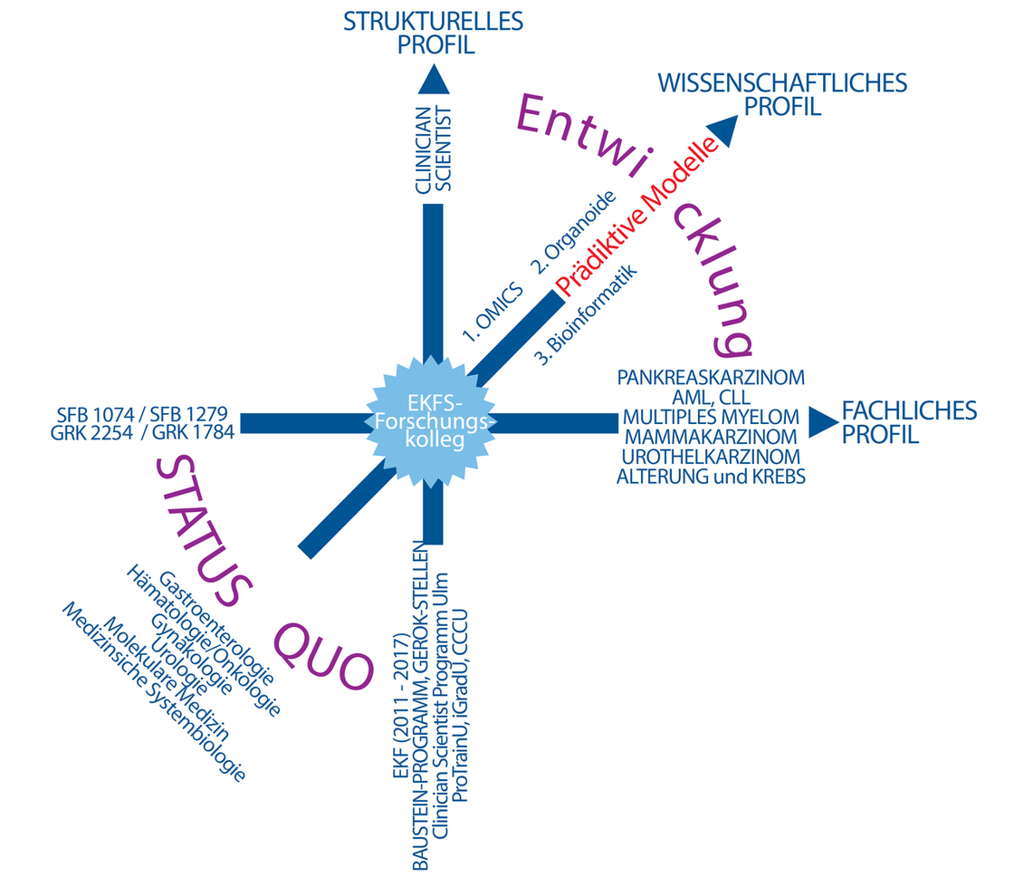 Schematic Respresentation of the EKFS-Structural Profile 