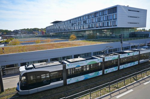 Quelle: Universitätsklinikum Ulm