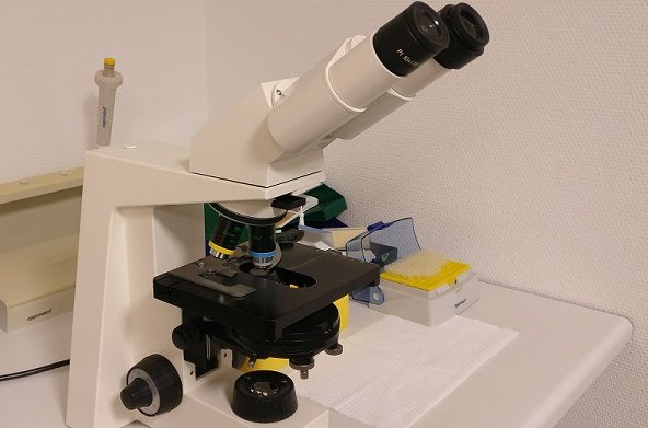 Mikroskop für Urinsediment-Untersuchungen