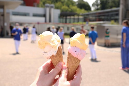 Zwei Eiswaffeln mit jeweils zwei Kugeln Eis