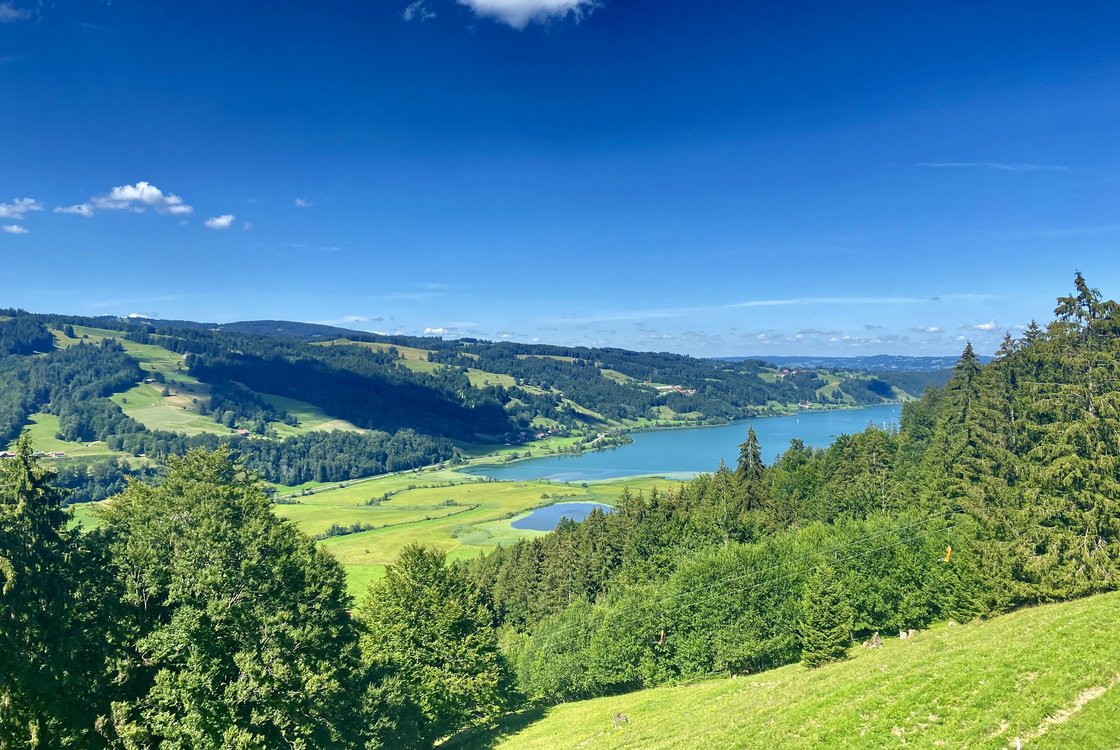 View to the Alpsee