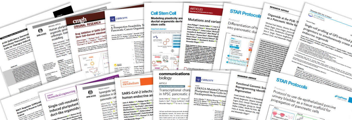 Collage of IMOS Publications