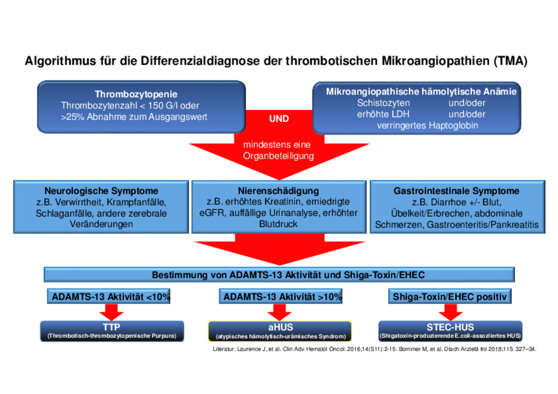 Flußschema zur Diagnose der TMA