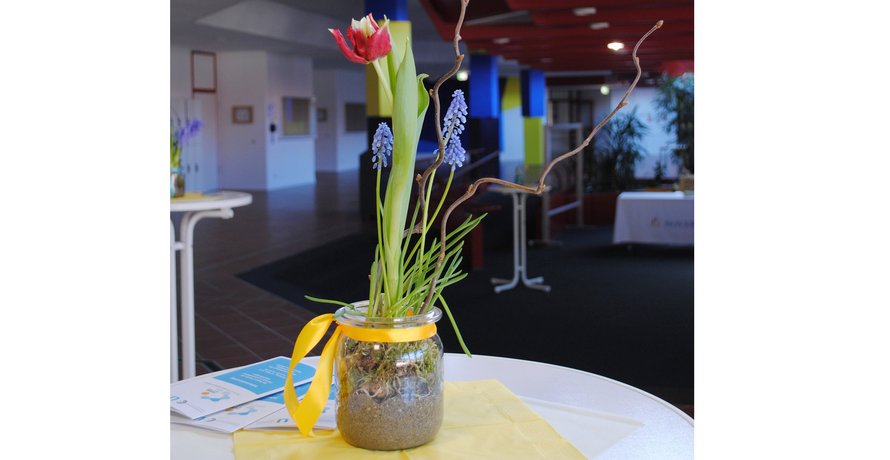 Glas mit blühender Tulpe